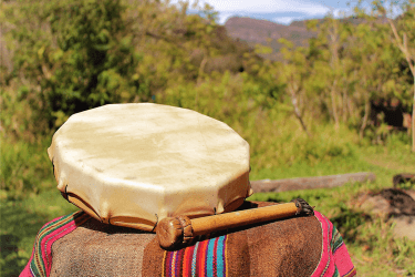 Het Amazone Plantdieet